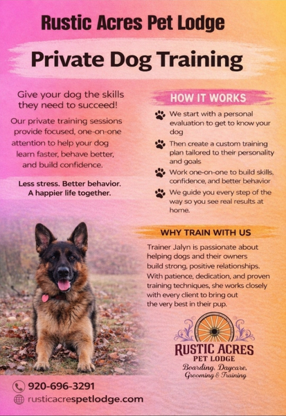 Private Dog Training Private Dog Training