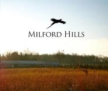 Milford Hills Logo Milford Hills Logo