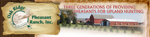 Oak Ridge Pheasant Ranch Logo Oak Ridge Pheasant Ranch Logo