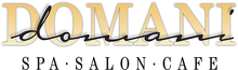 Domani Salon & Spa Logo Domani Salon & Spa Logo