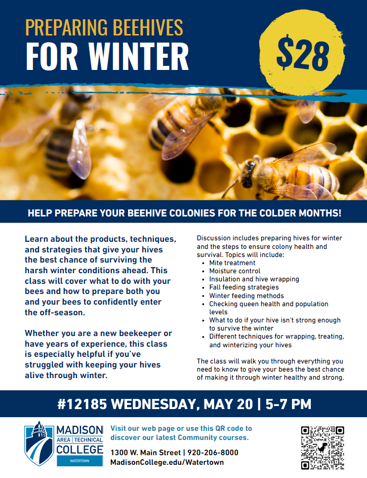 Preparing Bees for Winter