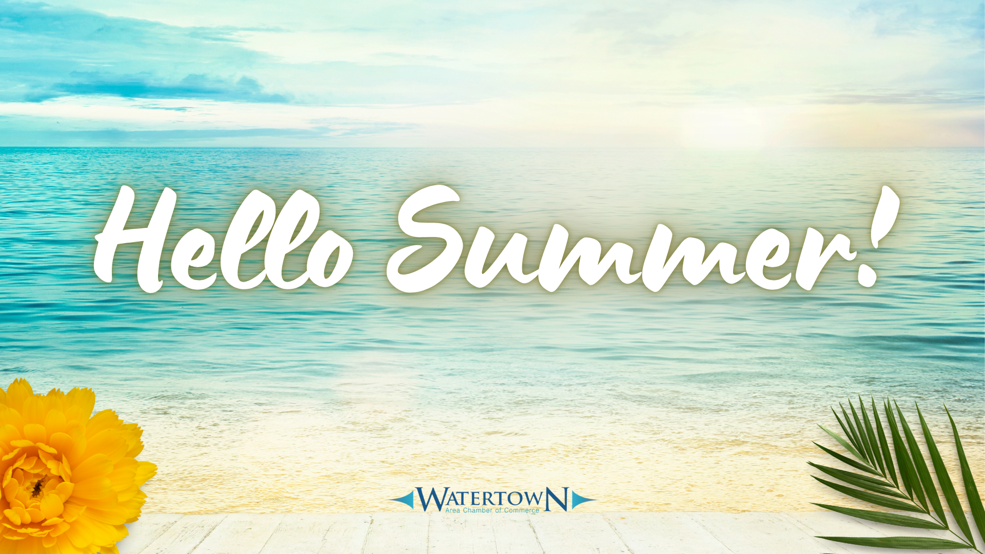 Hello Summer!