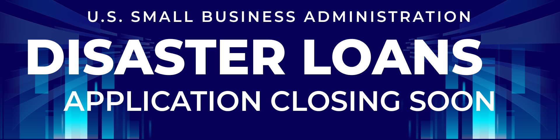 Disaster Loans