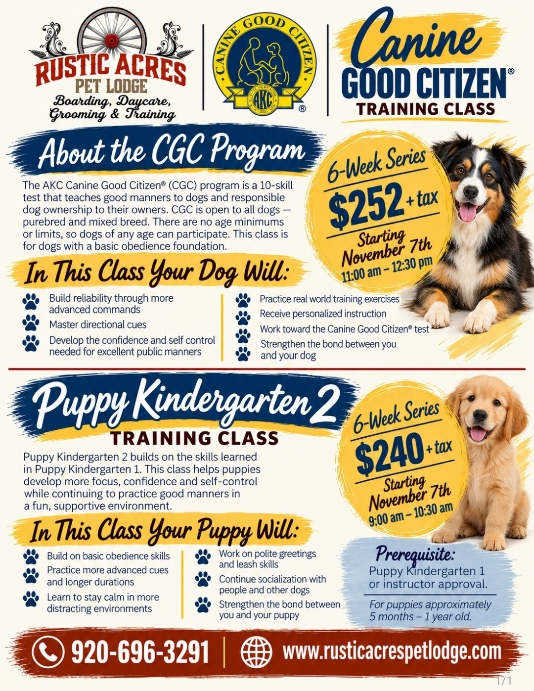 Pet Training